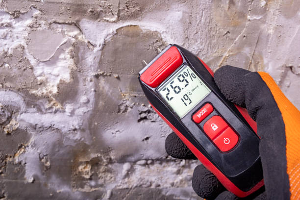 Best Professional Mold Removal  in San Antonio Heights, CA